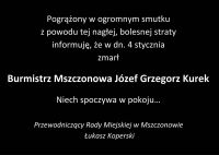 Grafika informacyjna