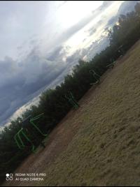 Zielone oazy pięknieją – działkowcy zakończyli projekty z dofinansowaniem